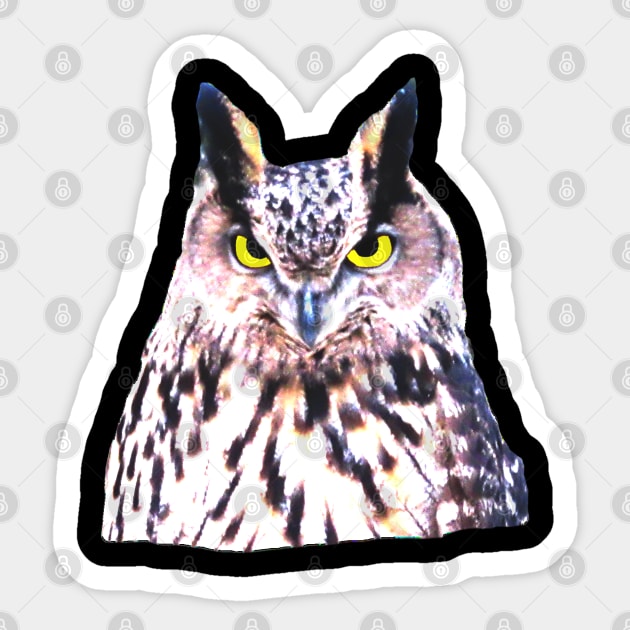 unique wild owl, owls, forest, animal, nature, Sticker by rh_naturestyles